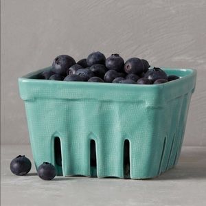 Anthropologie Teal Berry Carton Small